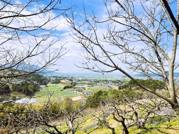 うきは市浮羽町三春の土地