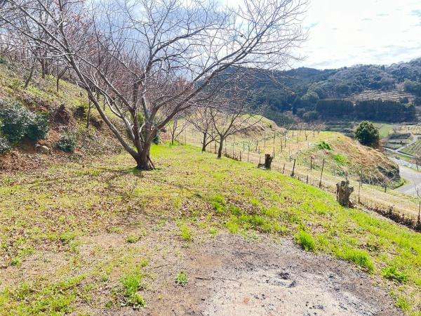 福岡県うきは市浮羽町土地