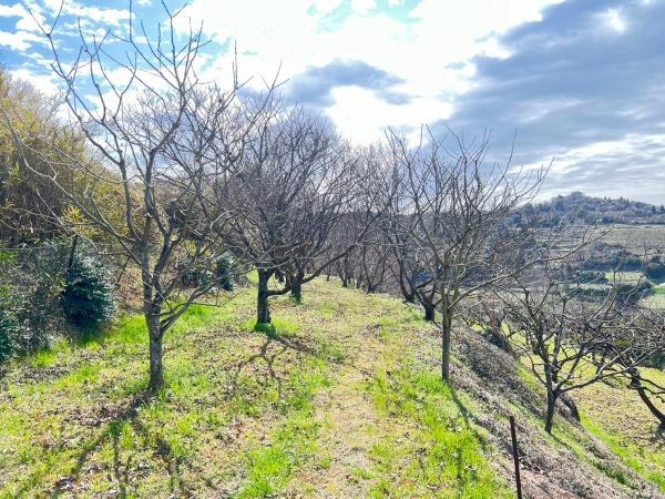 福岡県うきは市浮羽町土地