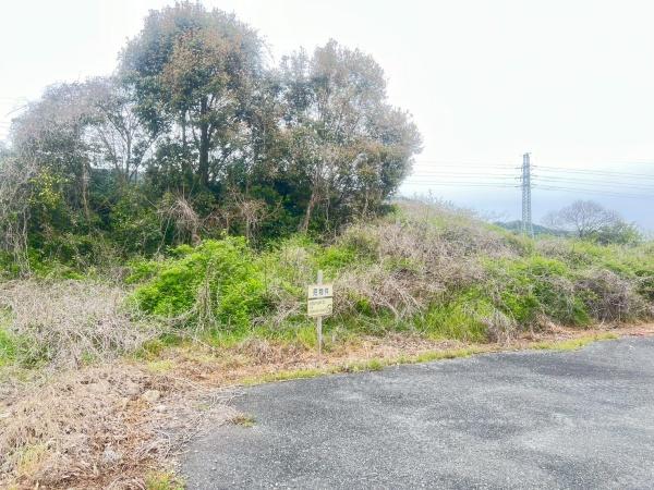 佐賀県鳥栖市養父町土地