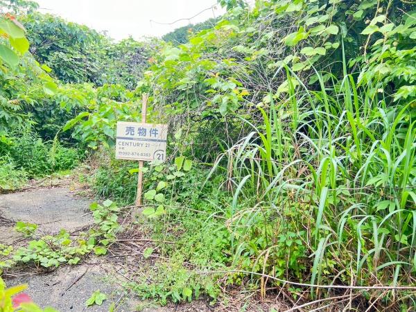 福岡市西区今宿上ノ原字車ノ原土地