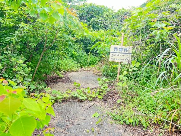 福岡市西区今宿上ノ原字車ノ原土地