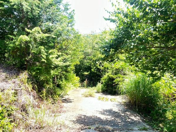 福岡市早良区早良５丁目の土地