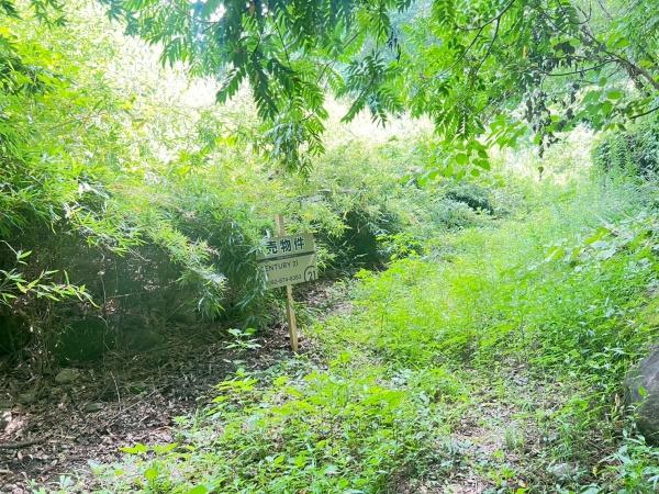 福岡市早良区大字西字前峯尾土地