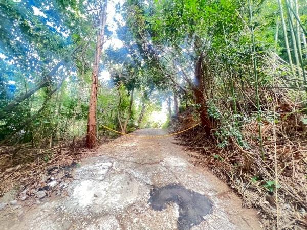 福岡市西区今津の土地