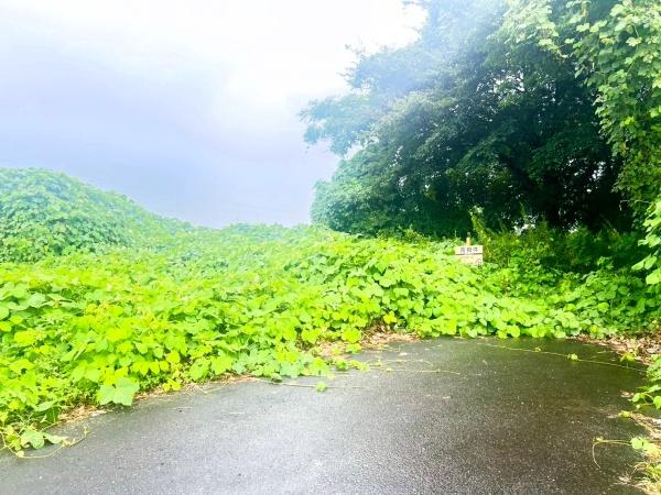 佐賀県鳥栖市養父町土地