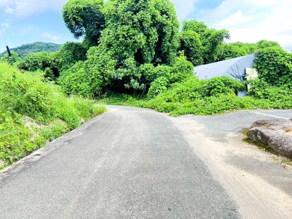 佐賀県鳥栖市養父町土地