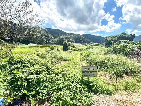 糸島市飯原字平原土地