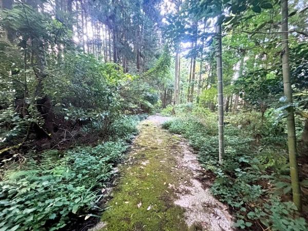 福岡市早良区大字椎原の土地