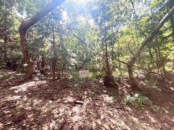 福岡市西区今宿上ノ原字車ノ原土地