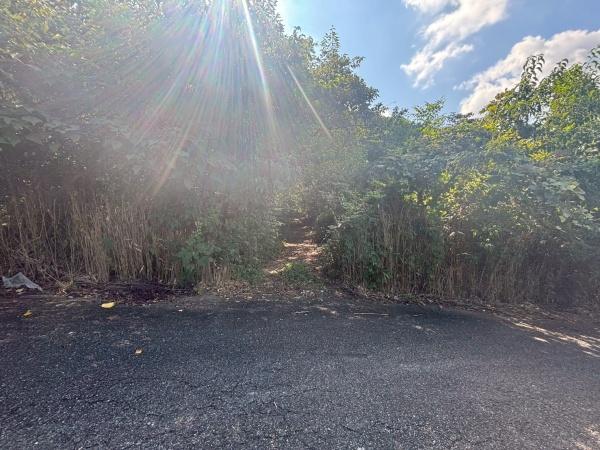 福岡市西区今宿上ノ原の土地