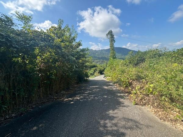 福岡市西区今宿上ノ原の土地
