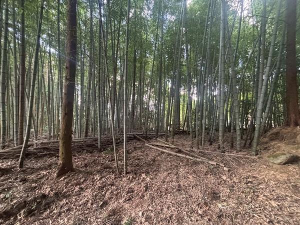 福岡市早良区石釜字釜ケ谷土地