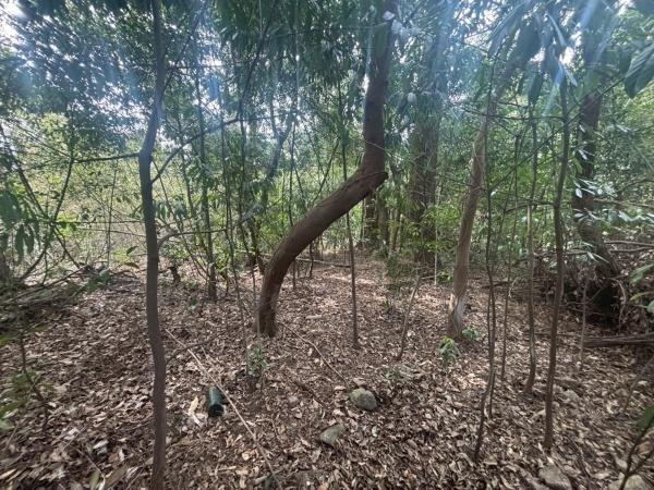 太宰府市三条２丁目の土地
