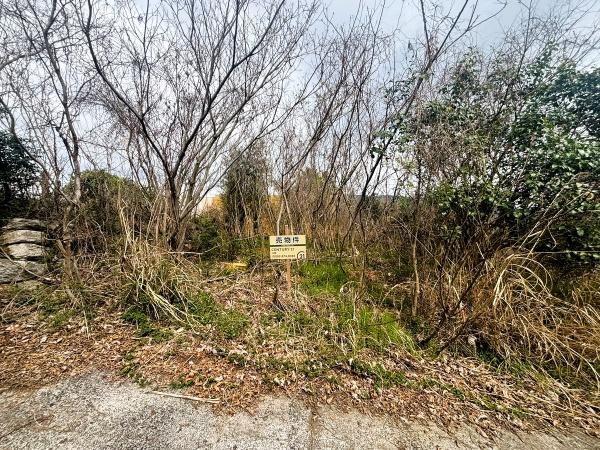 福岡市早良区早良5丁目土地