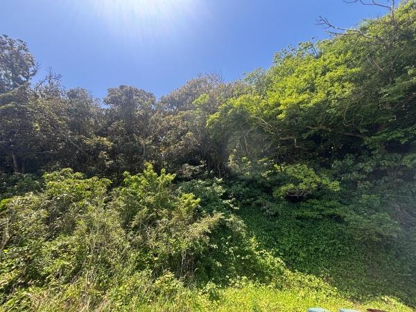 福岡市西区大字小田土地
