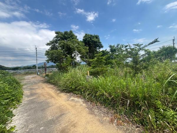 福津市上西郷字タケヲ土地