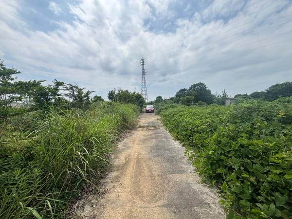 福津市上西郷字タケヲ土地