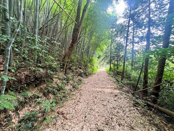糸島市川付の土地