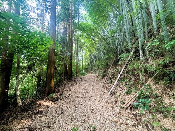 糸島市川付の土地