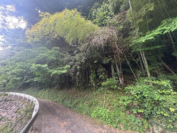 福岡市早良区大字飯場の土地