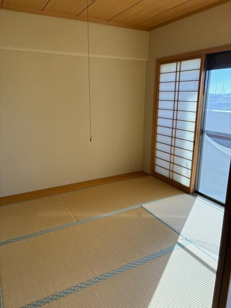 チッタ武豊