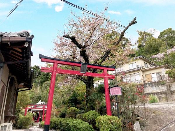 京都市北区衣笠赤阪町の土地(天龍神大神)