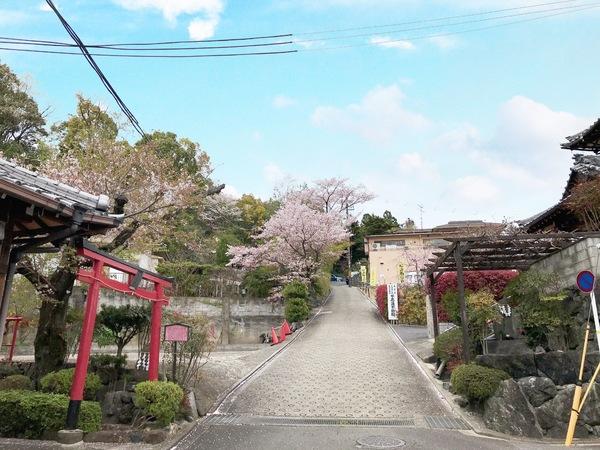 京都市北区衣笠赤阪町の土地(天龍神大神)