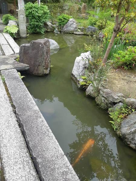 京都市北区衣笠赤阪町の土地