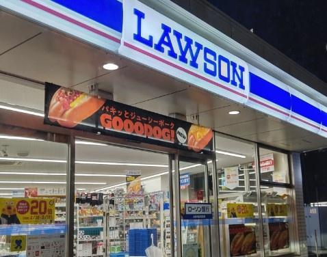 ダイアパレス五井ステーションタワー(ローソン市原五井中央西店)