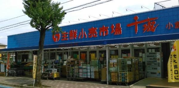千葉市若葉区小倉台6丁目 新築戸建(生鮮小売市場千城小倉台店)