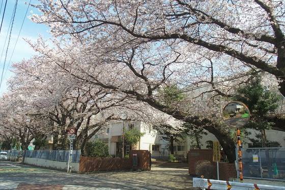 ライオンズマンション千葉登戸(千葉市立緑町中学校)