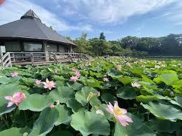 千葉市中央区松波4丁目 新築戸建(千葉公園)