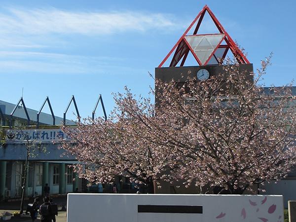 はるのみち公園前3号棟(千葉市立有吉小学校)