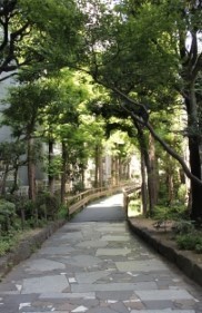 パークホームズ千葉(新宿緑道)