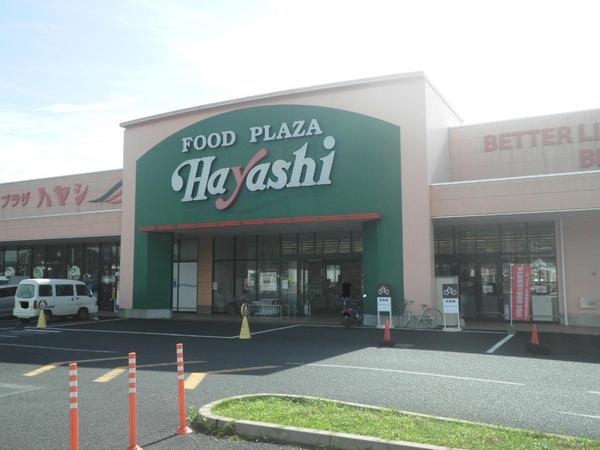 東金市求名の土地(フードプラザハヤシ成東店)