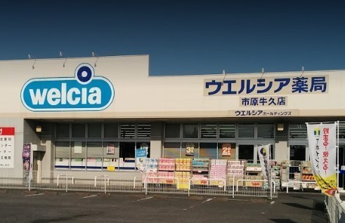 市原市南岩崎の中古一戸建て(ウエルシア市原牛久店)