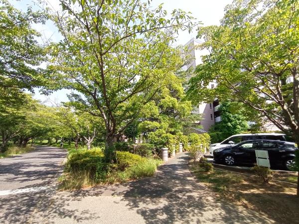 ウッドパークちはら台Ｂ棟