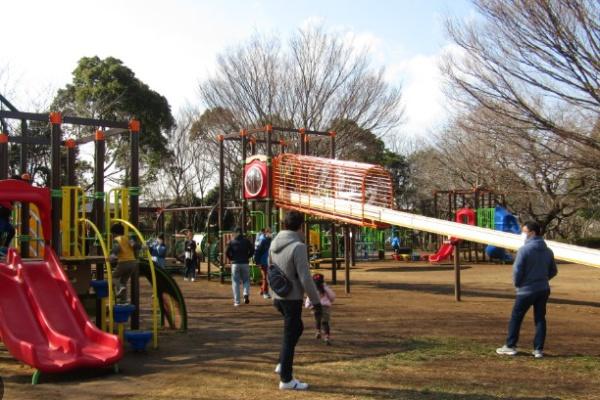 ダイアパレス蘇我6(青葉の森公園)