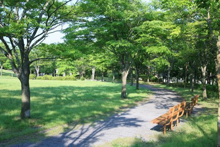 市原市潤井戸の中古一戸建て(清水谷公園)