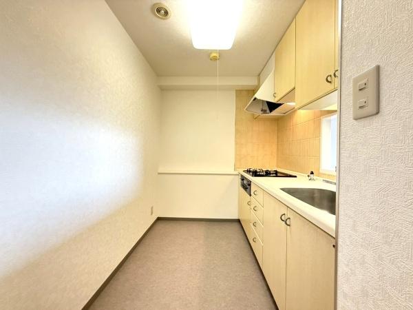 蘇我ロイヤルコンフォート101B棟(キッチン)