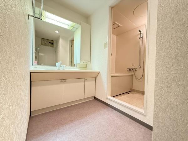 蘇我ロイヤルコンフォート101B棟(洗面台・洗面所)