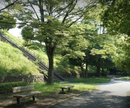 東建ニューハイツ千城台(千城台公園)