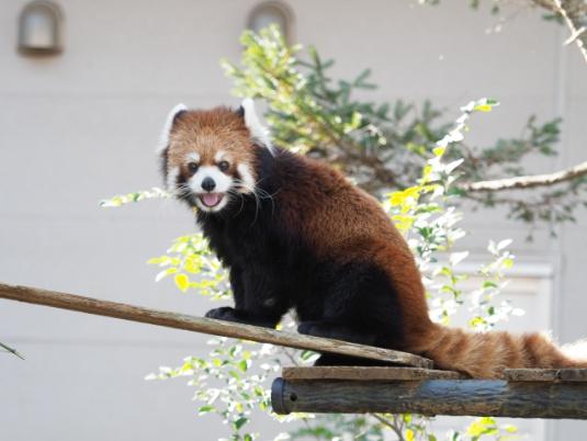 ライオンズマンション西千葉第２(千葉市動物公園)