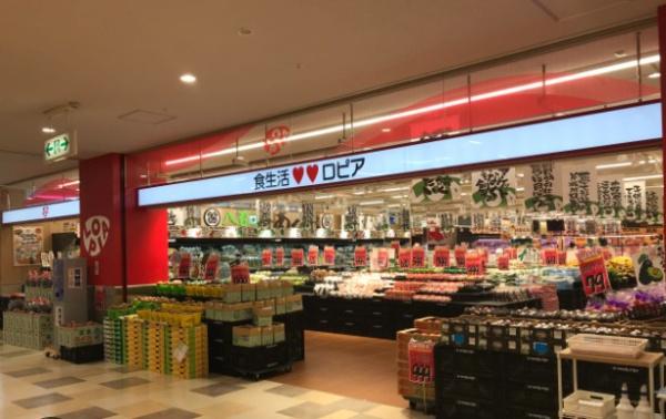 千葉市若葉区千城台北2丁目の中古一戸建て(ロピア千城台店)
