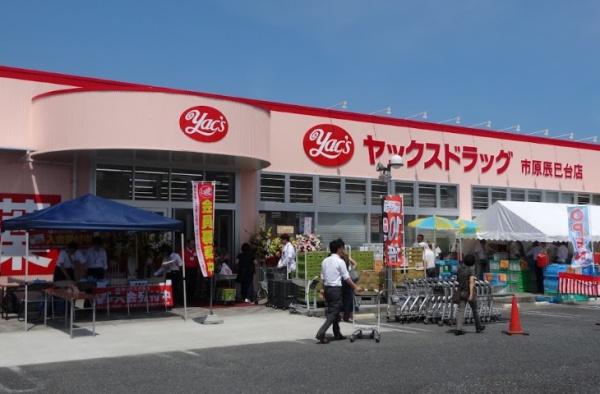 市原市辰巳台西５丁目の中古一戸建て(ヤックスドラッグ市原辰巳台店)