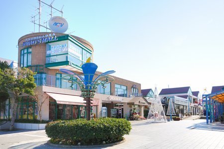 千葉市緑区土気町　新築戸建(あすみが丘東急バーズモール)