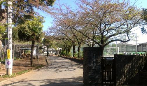 ダイアパレス千葉美術館(千葉市立葛城中学校)