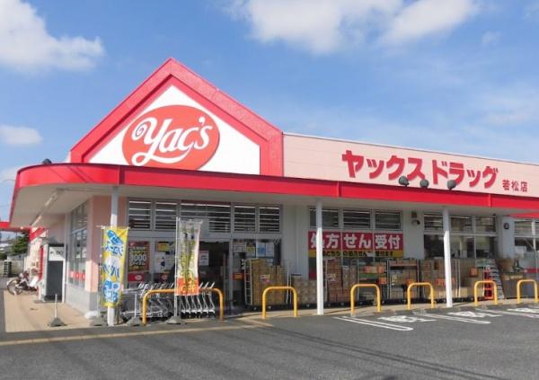 ツインエルシティ千葉弐番館(ヤックスドラッグ若松店)