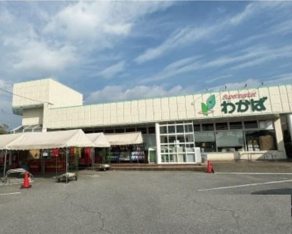 ダイアパレス千葉青葉台サウスアベニュー(スーパーわかば)